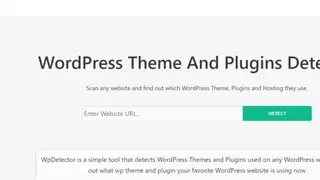 WPdetector screenshot