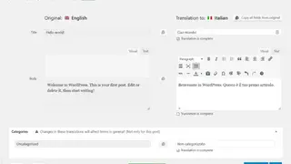 WPML screenshot