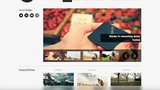 WPZOOM screenshot