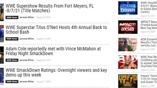 WrestleView screenshot