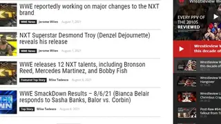 WrestleView screenshot