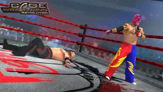 Wrestling Cage Revolution screenshot