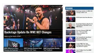Wrestling ING screenshot