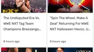 Wrestling ING screenshot