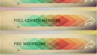 Wrestling Videos 2020 screenshot