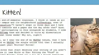 Written? Kitten! screenshot