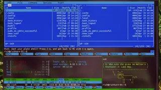 Wsl-terminal screenshot