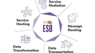 WSO2 Enterprise Service Bus screenshot