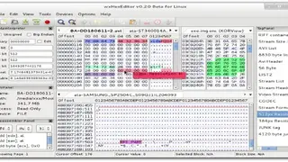 wxHexEditor screenshot