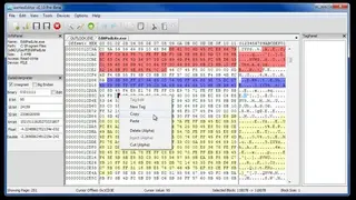 wxHexEditor screenshot