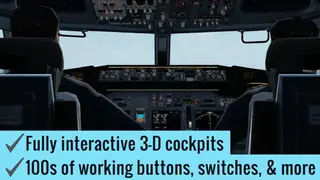 X-Plane Flight Simulator screenshot