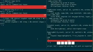 Xdotool screenshot