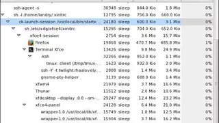 Xfce Task Manager screenshot