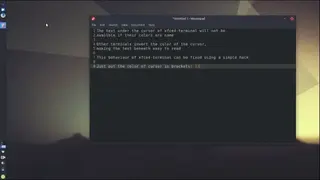 Xfce4 terminal screenshot