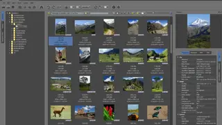 XnViewMP screenshot