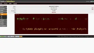 Xplico screenshot