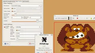 XVidCap screenshot