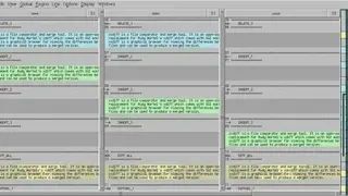 XXDiff screenshot