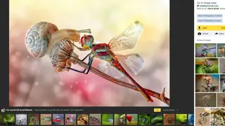Yandex.Images screenshot
