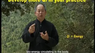 Yang Tai Chi for Beginners 1 screenshot