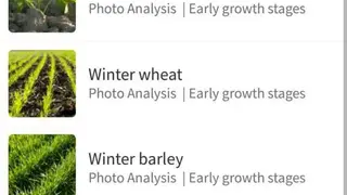 YaraIrix screenshot
