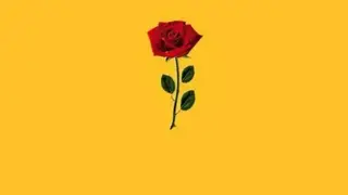 Yellow Aesthetic Wallpapers screenshot