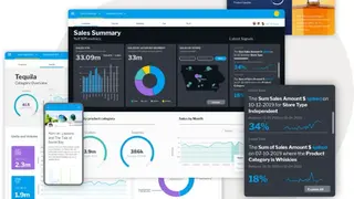 Yellowfin International screenshot