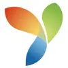 Yii Framework