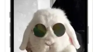 YouTube Live screenshot