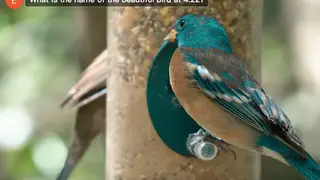 YouTube Plus screenshot