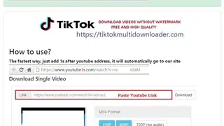 YoutubeMultiDownloader screenshot