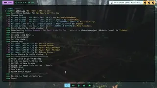 Ytmdl screenshot