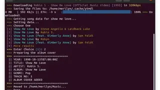 Ytmdl screenshot
