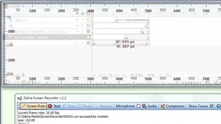 Zebra Screen Recorder screenshot