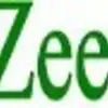 ZeeRecharge