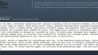 ZeroBin screenshot