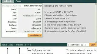 ZeroTier One screenshot