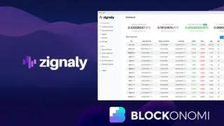 Zignaly screenshot