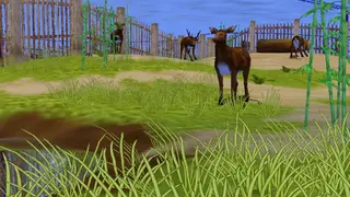 Zoo Empire screenshot