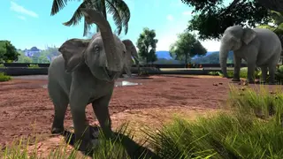 Zoo Tycoon: Ultimate Animal Collection screenshot
