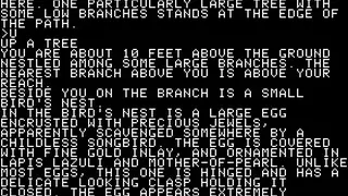 Zork I the Great Underground Empire screenshot