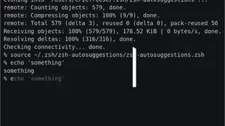 Zsh screenshot