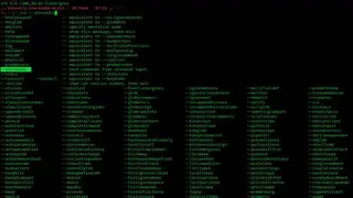 Zsh screenshot