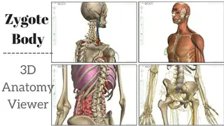 Zygote Body screenshot