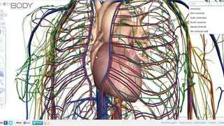 Zygote Body screenshot