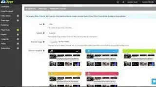 Zype screenshot